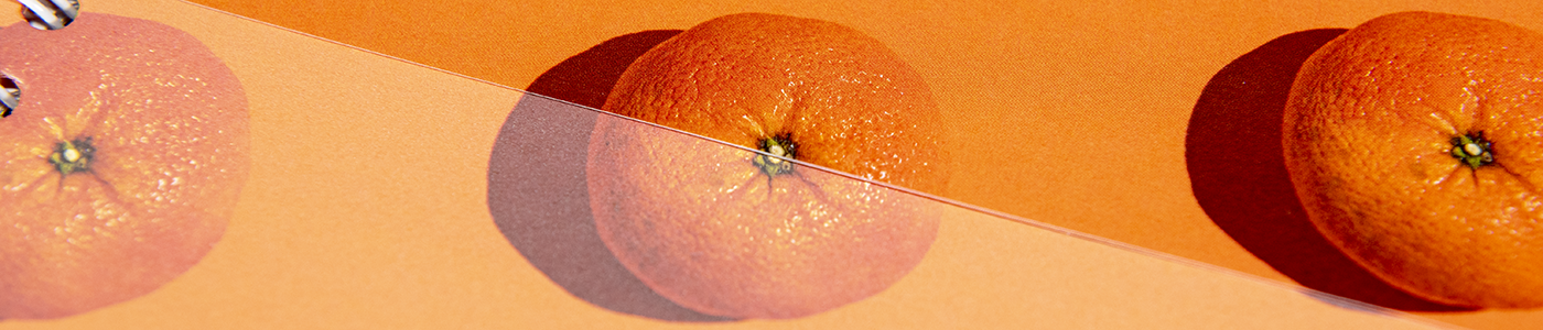 spiral notebook with oranges on it